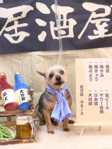 20240604マロニーくん